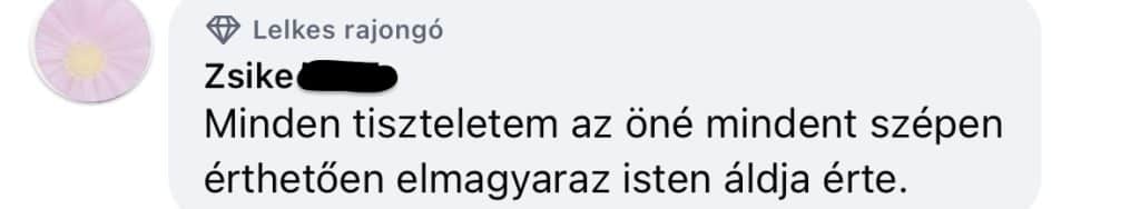 Visszajelzés