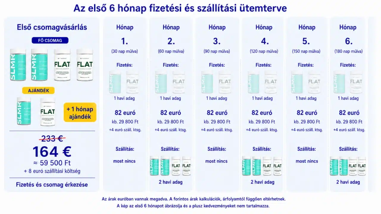A(z) Alap csomag első hat hónapjának fizetési és szállítási ütemterve