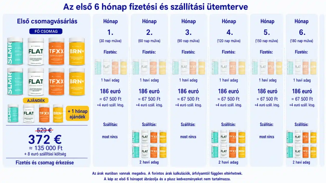 A(z) Maximum csomag első hat hónapjának fizetési és szállítási ütemterve